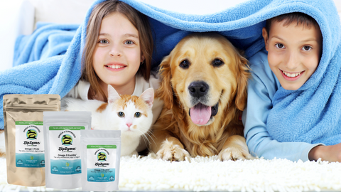 Kids under blanket with dog and Cat behind ZipZyme products