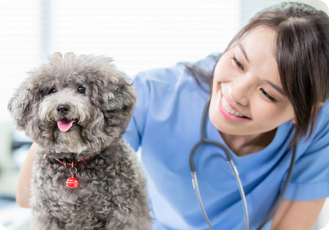 Female veterinarian and dog