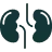 Chronic Kidney Disease