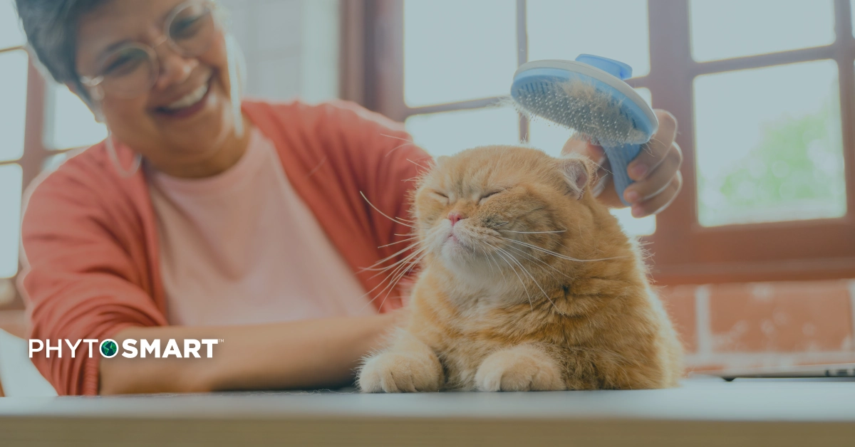 Featured image for “Healthy Skin, Fewer Hairballs: Omega-3s for Cats with Allergies and Dermatitis”