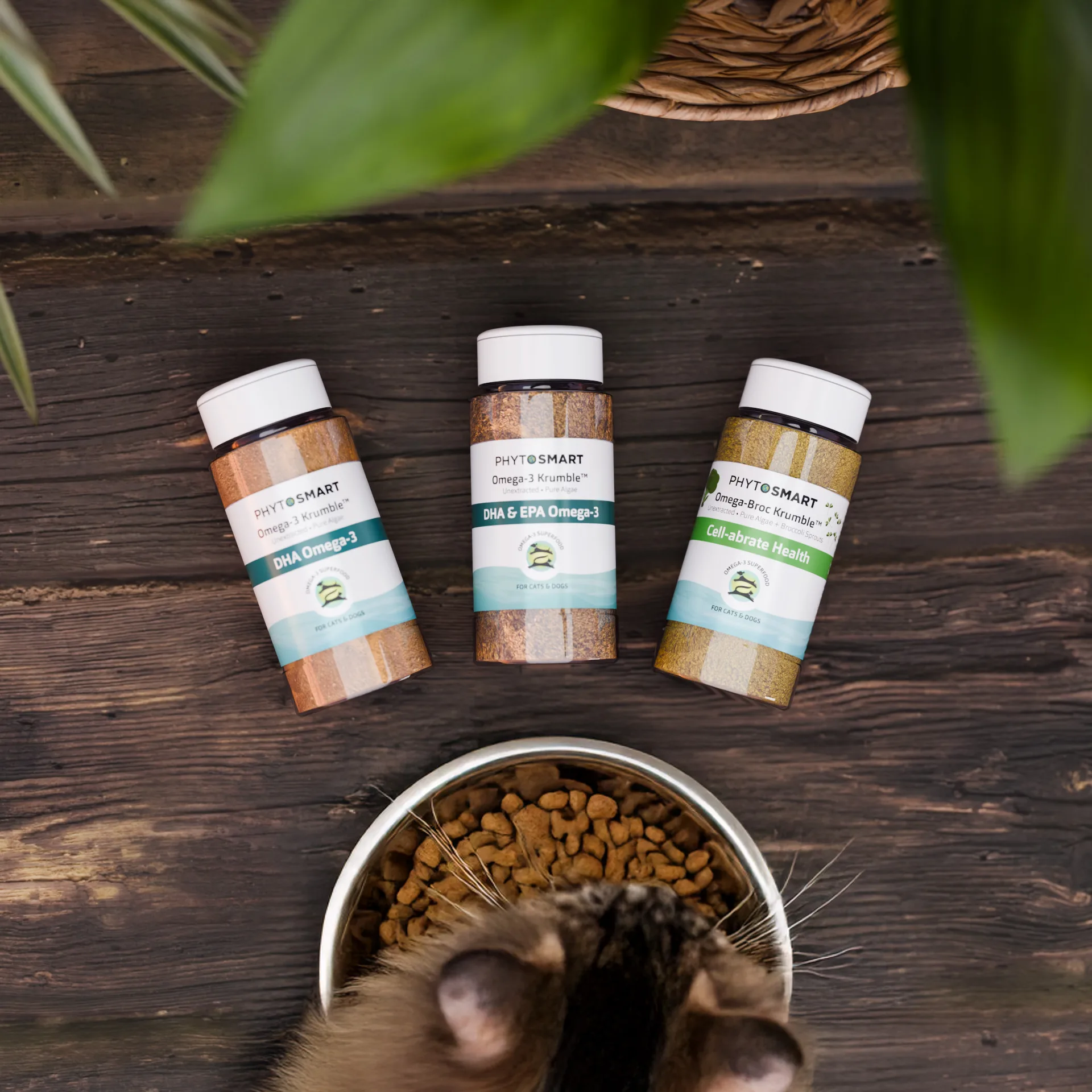 PhytoSmart - Product Set - Top Down Wood Cat Eating (All Three)