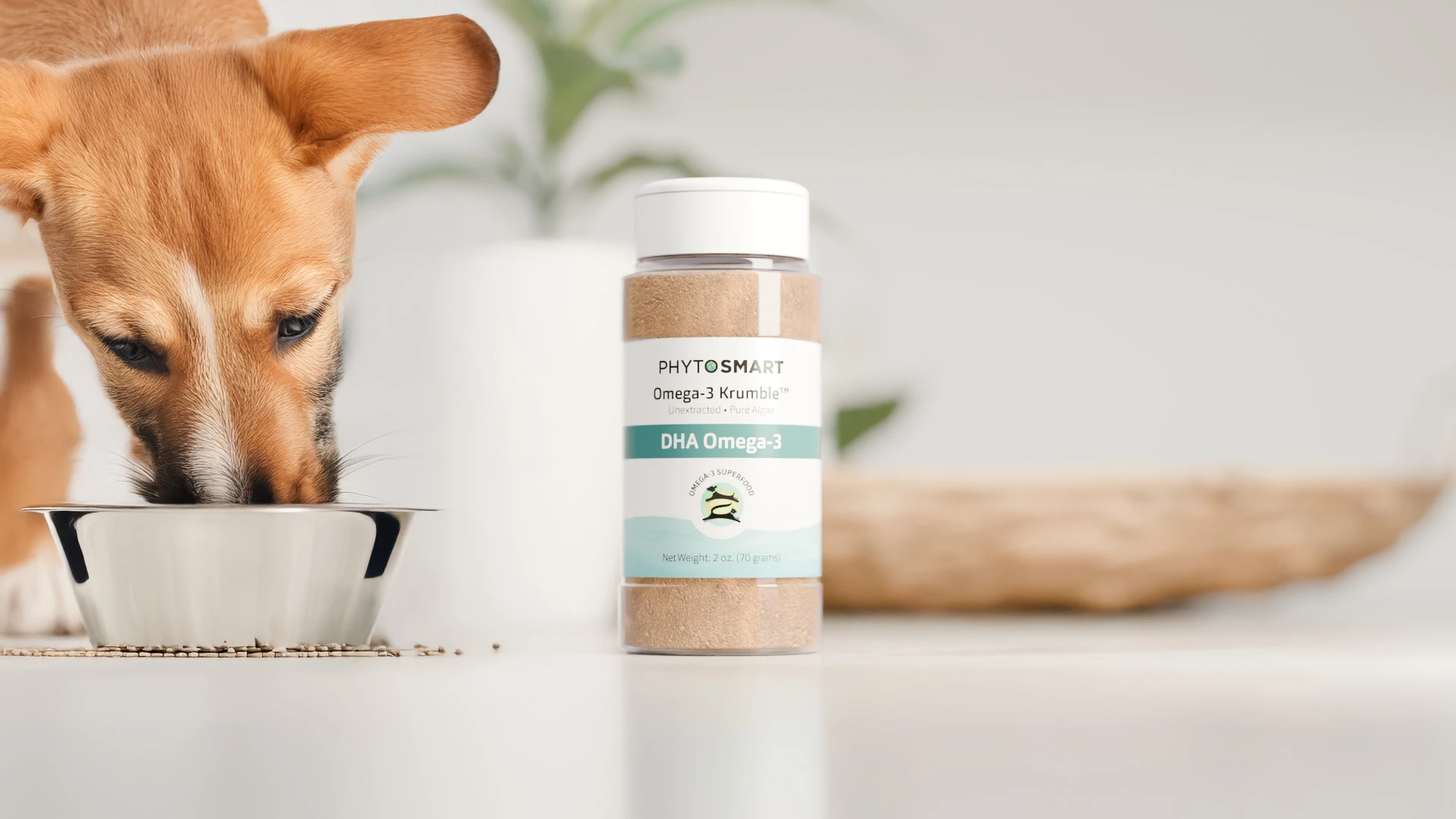 Featured image for “The Complete Guide to Omega-3 Benefits for Dogs”