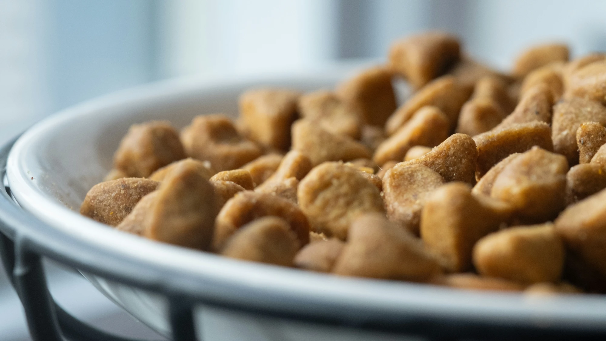Featured image for “The Honest Guide to Healthy Cat Foods – Series #1 Dry Cat food/Kibble for Cats”