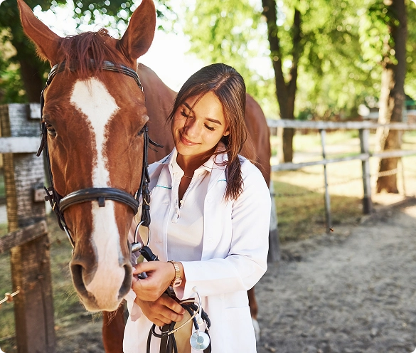 A smiling woman in a white lab coat stands beside a brown horse with a white blaze on its face, holding a stethoscope in a sunlit outdoor stable